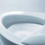 TOTO NEOREST NX2 Luxury One-piece Toilet & Bidet