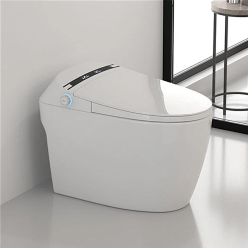 Smart Toilets